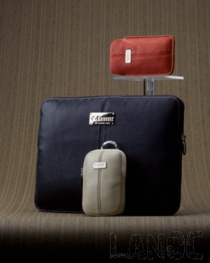 KRUSSEL_cases_LANOC